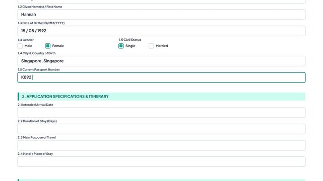 Online Tourist Visa Application Form Animation Digital Visa Portal Data Entry UI Motion Graphic