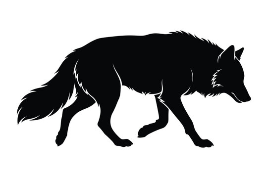 Walking wolf silhouette vector illustration with predator wildlife silhouette