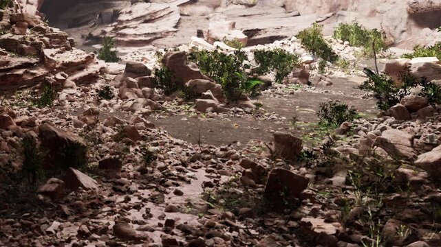 The scene shows a rocky terrain with scattered stones and small plants. The setting is dry, with clear daylight illuminating the landscape.