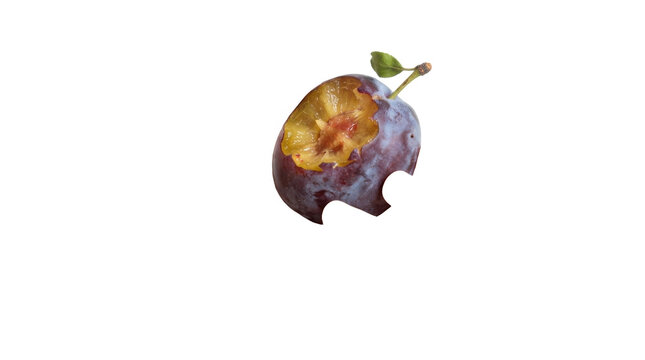 Bitten Plum with Apple Logo Shape Cutout PNG Isolated on transparent background