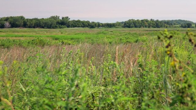 Midwestern conservation biological science land resources dedicated to protecting wetlands, open water, and riparian habitats within Lawrence Kansas