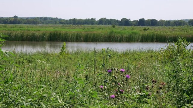 Midwestern conservation biological science land resources dedicated to protecting wetlands, open water, and riparian habitats within Lawrence Kansas