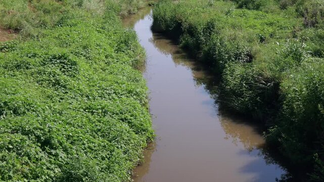 Midwestern conservation biological science land resources dedicated to protecting wetlands, open water, and riparian habitats within Lawrence Kansas