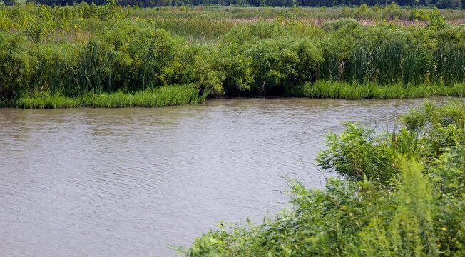 Midwestern conservation biological science land resources dedicated to protecting wetlands, open water, and riparian habitats within Lawrence Kansas