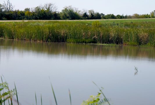 Midwestern conservation biological science land resources dedicated to protecting wetlands, open water, and riparian habitats within Lawrence Kansas