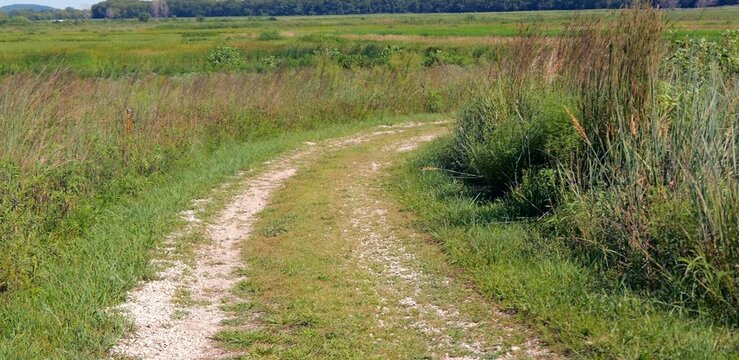 Midwestern conservation biological science land resources dedicated to protecting wetlands, open water, and riparian habitats within Lawrence Kansas