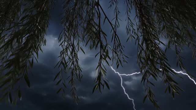 Willow branches sway against a dark sky with lightning bolts