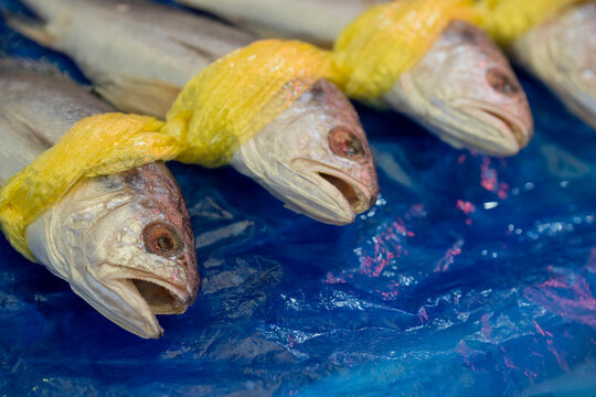 Fresh yellow croaker fish tied with yellow plastic string displayed on blue mat at traditional seafood market in South Korea.