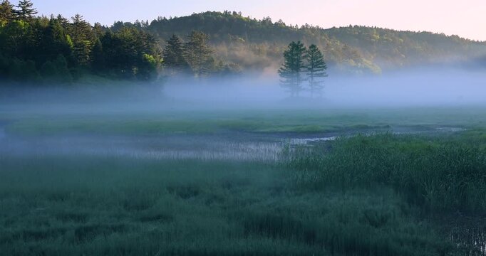 尾瀬の朝霧の大江湿原