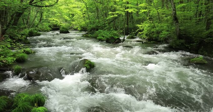 奥入瀬渓流の三乱の流れ