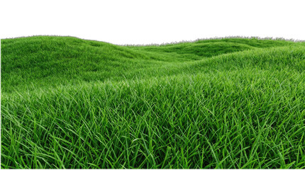 Obraz premium Green grass field with lush blades on rolling hills nature background for landscape design.