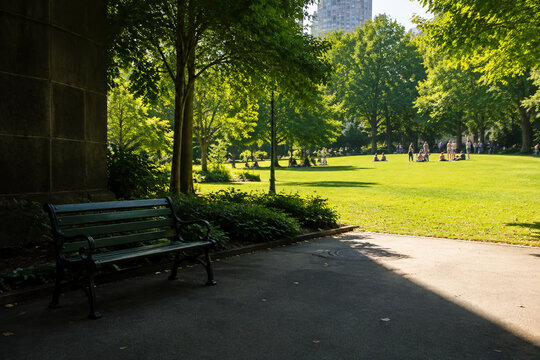 An empty park bench in a green park, a strong diagonal shadow creating a visual divide.
