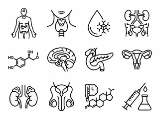 Fototapeta premium Endocrine system and internal organ icon set line art vector collection for medical education and healthcare web interface design
