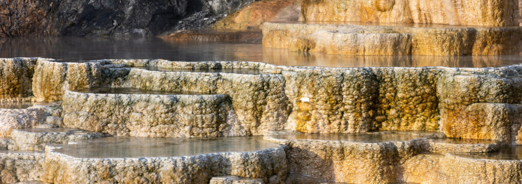 Closeup of colorful thermophiles in calcite scalloped lower terrace at Mammoth Hot Springs, summer vacation at Yellowstone National Park viewing natural geothermal features
