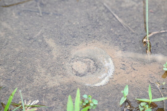 Water internal flow causes continuous bubbles to rise in the sand. Such natural spring can be seen in mountainous areas during the rainy season.