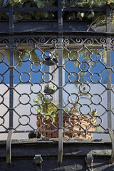 Small Winter Birds Eurasian Blue Tit and Blackbird Feeding on Wrought Iron Balcony with Pine Basket Decoration in Stockholm Sweden, Urban Wildlife Concept © monkeybusiness.pt