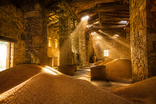 Ancient stone granary interior filled with mounds of harvested grain and golden dust motes.