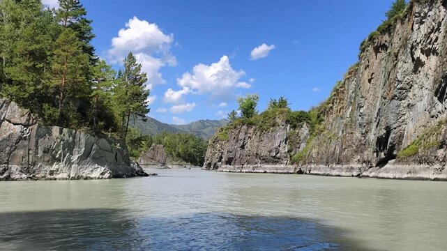 Video of coastal rocks with pine trees on the bank of mountain river Katun in Altai.