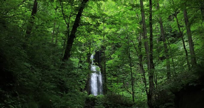奥入瀬渓流の雲井の滝