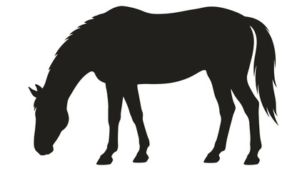 Obraz premium Black silhouette of a grazing horse with head lowered in profile for farm branding or western logo