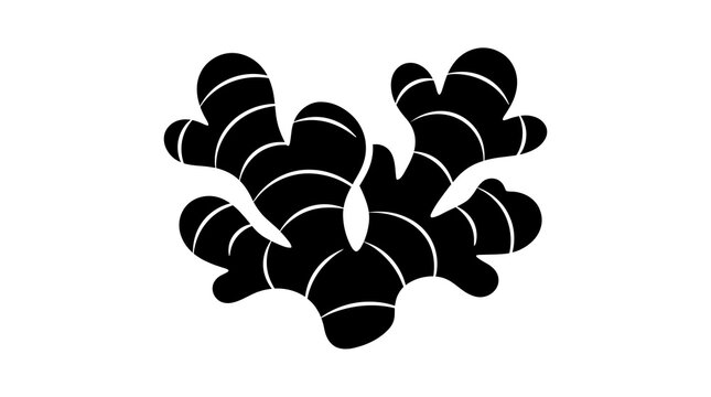 Black silhouette ginger root icon featuring organic shape for herbal medicine branding and food