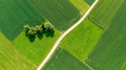 Obraz premium Beautiful countryside agricultural fields seen from a photorealistic top view drone perspective.