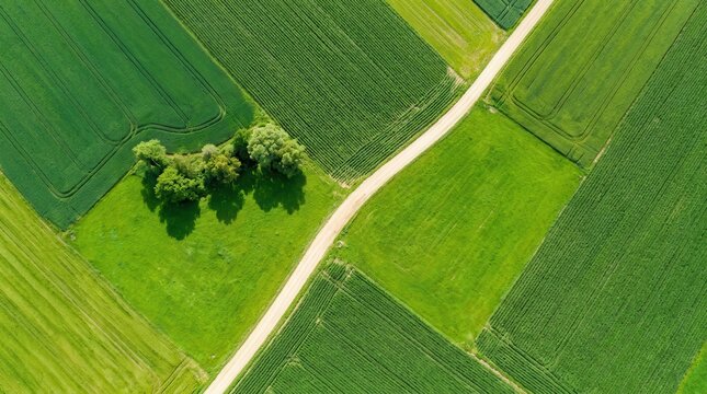 Beautiful countryside agricultural fields seen from a photorealistic top view drone perspective.