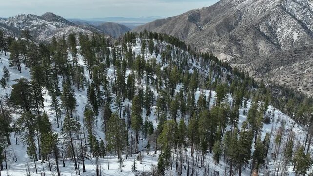 Snowcrest Aerial Shot of Winter Snow Mountain to Desert Elevate California USA
