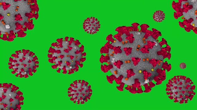 Coronavirus covid 19 cells floating on green screen chroma key background loop