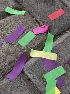 Various colors on the leaves scattered on the ground of a park in the mornings.Distintos colores sobre las hojas colocadas en el piso de un parque por las ma&ntilde;anas.(23).