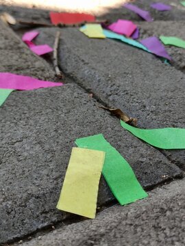 Various scraps of paper in different shades found on the ground in a park or garden.Diferentes fragmentos de papel de diversas tonalidades hallados en el suelo de un parque jard&iacute;n(22).