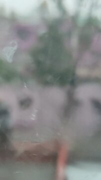 Close-up of a window in which you can see the rain running through the window at dusk.Primer plano de una ventana en la que se observa la lluvia que escurr&iacute;a por la ventana al atardecer.(3)