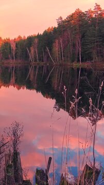Sunrise Timelapse over Forest Lake with Reflections