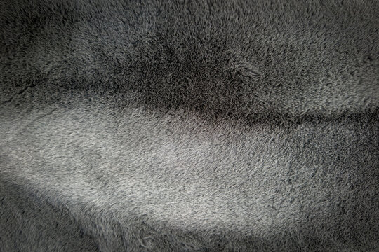 gray carpet background, gray fabric texture background, closeup