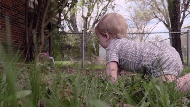 Young toddler exploring in grass of yard 4k
