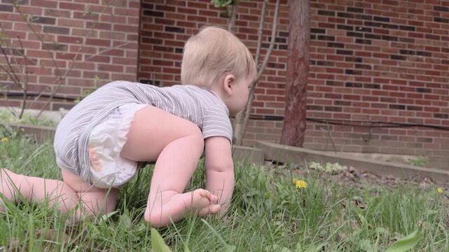 Tracking young boy in yard as he explores 4k
