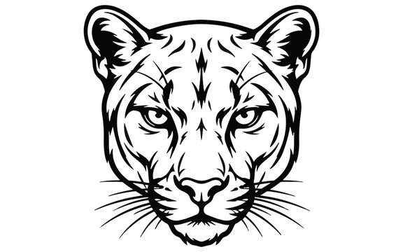 Black puma face illustration with intricate line work on a dark background