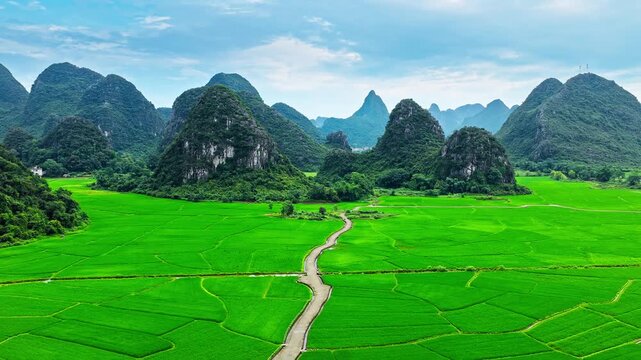Aerial view of a scenic pathway winding through lush green rice paddies surrounded by karst mountains in Guilin, China