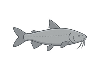 Fototapeta premium Flat vector illustration of a blue catfish isolated on white background