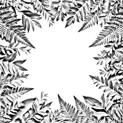 Intricate black and white fern leaf border frame design illustration for backgrounds and decorations transparent background © MS PNG STORE