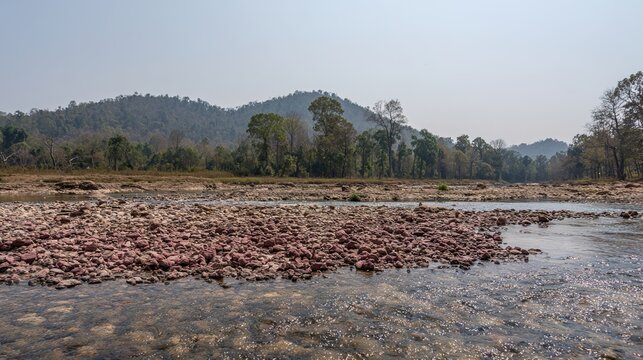 silt. Dry riverbed refilled with clear flowing water, sunlight glinting on surface. ESG reports, sustainability campaigns, designed for environmental awareness campaigns, used by PR specialists.