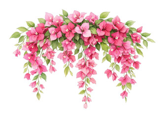 Naklejka premium PNG Vibrant pink bougainvillea floral illustration.