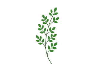 Fototapeta premium Minimalist green leaf branch illustration isolated on white background