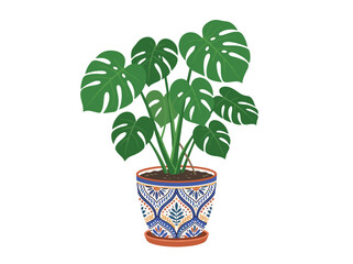 Fototapeta premium Monstera Deliciosa Houseplant in Ornate Patterned Ceramic Pot Vector Illustration