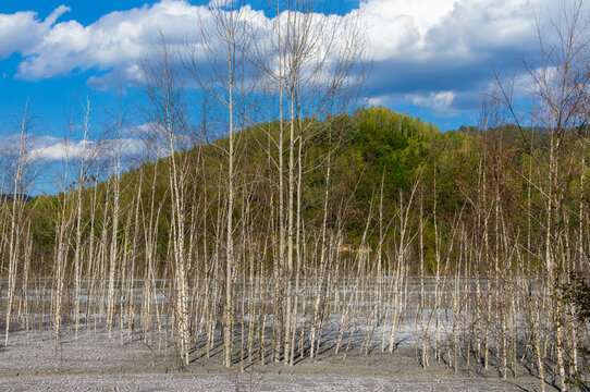 Landscape with the Geamana tailings pond (Sesii Valley), Alba County - Romania. Geamana tailings pond in the Apuseni Mountains. Ecological disaster, lake with toxic water, polluted with chemicals