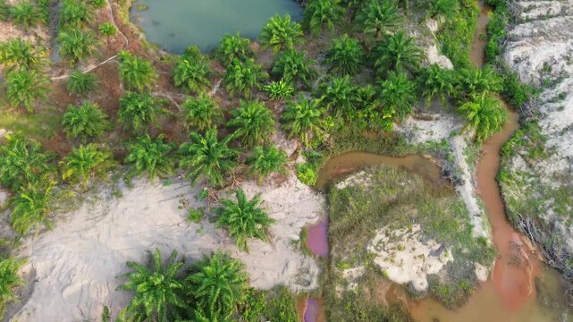 Aerial top down view of colorful acidic mine pond and red sediment stream near oil palm plantation on degraded land