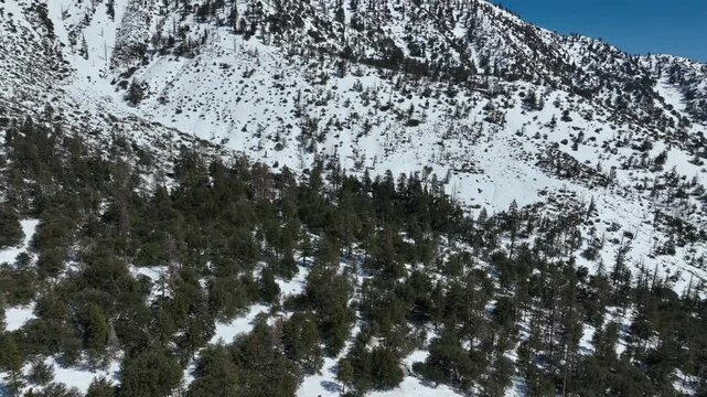 Winter Aerial Shot Flying over Snow Covered Mountain Forest Back in San Gabriel Mts California USA