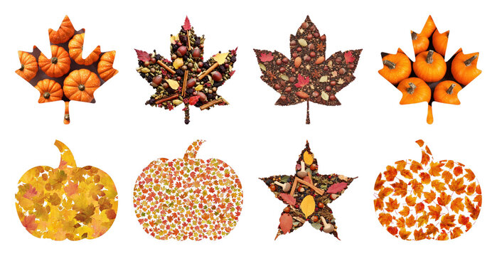 PNG Autumn leaves and pumpkins in creative designs, transparent background