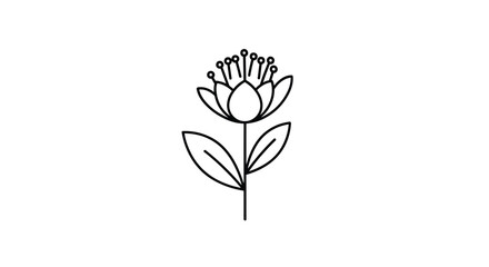 Obraz premium Minimalist line art illustration shows a single flower on a stem with two leaves, drawn with clean black outlines on a white background.