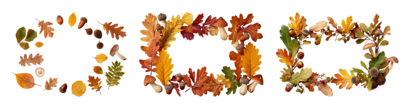 PNG Autumn leaf wreaths and floral frame collection, transparent background